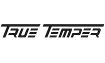 True Temoer landing logo